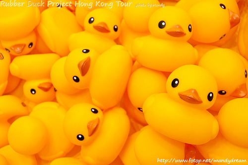 Rubber Ducks Eyes On You Wallpaper Photo Sharing
