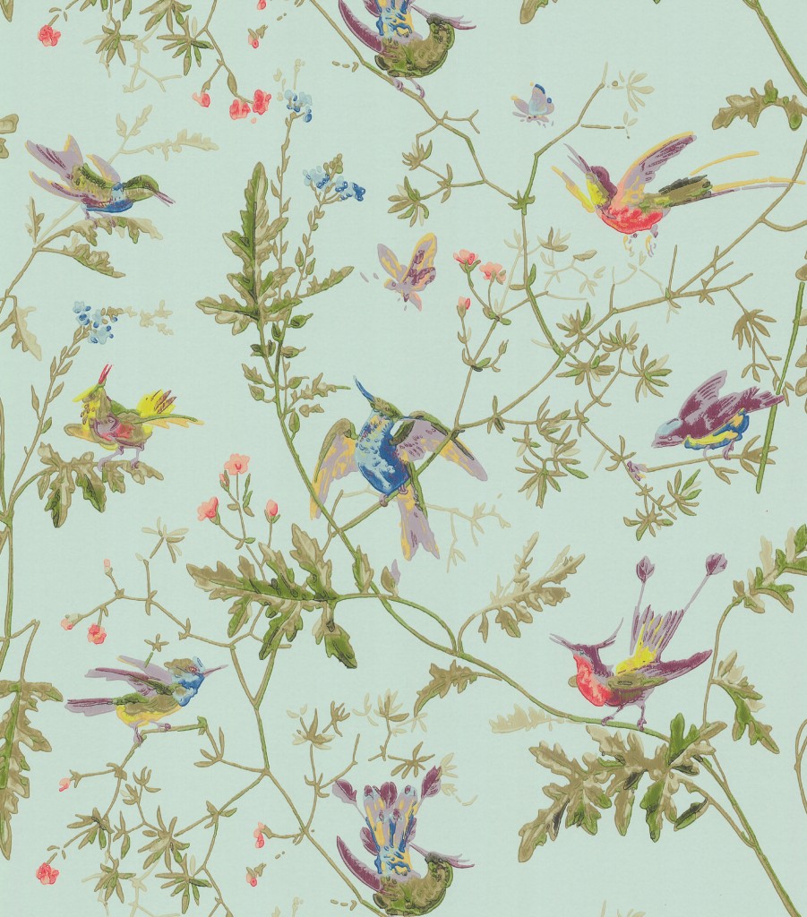 Bird Wallpaper