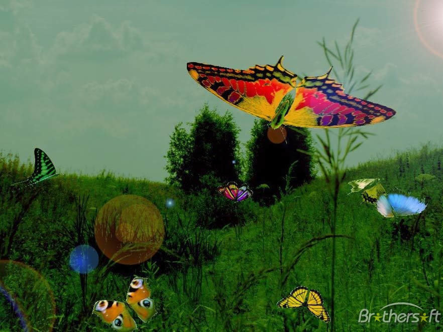 Butterflies 3d