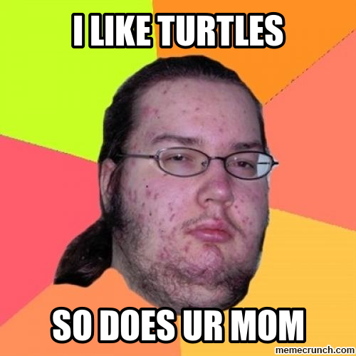 X Kb Png I Like Turtles Meme