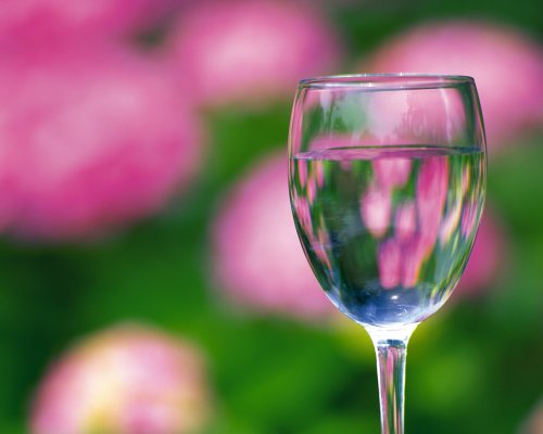 free wine glass in front of flower wallpapers enjoy wine glass in