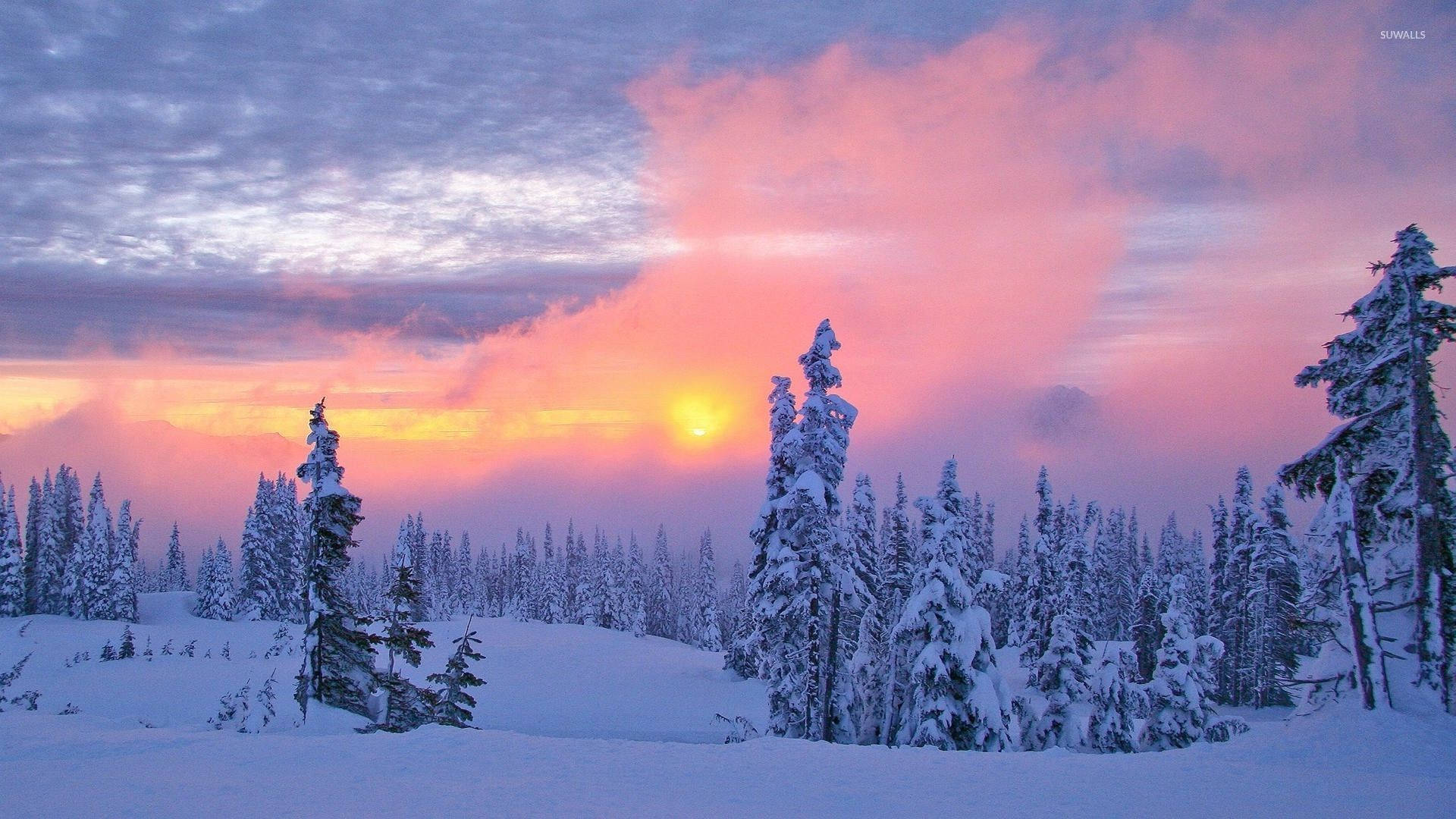 HD Winter Desktop Wallpaper