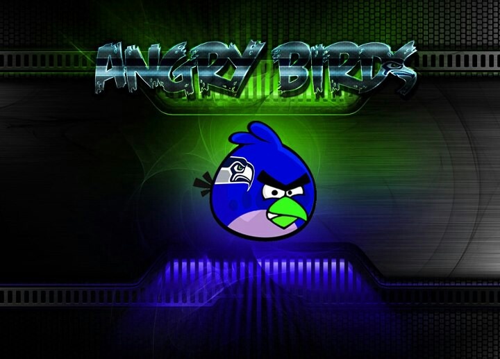 Seattle Seahawks Angry Bird Go Hawks