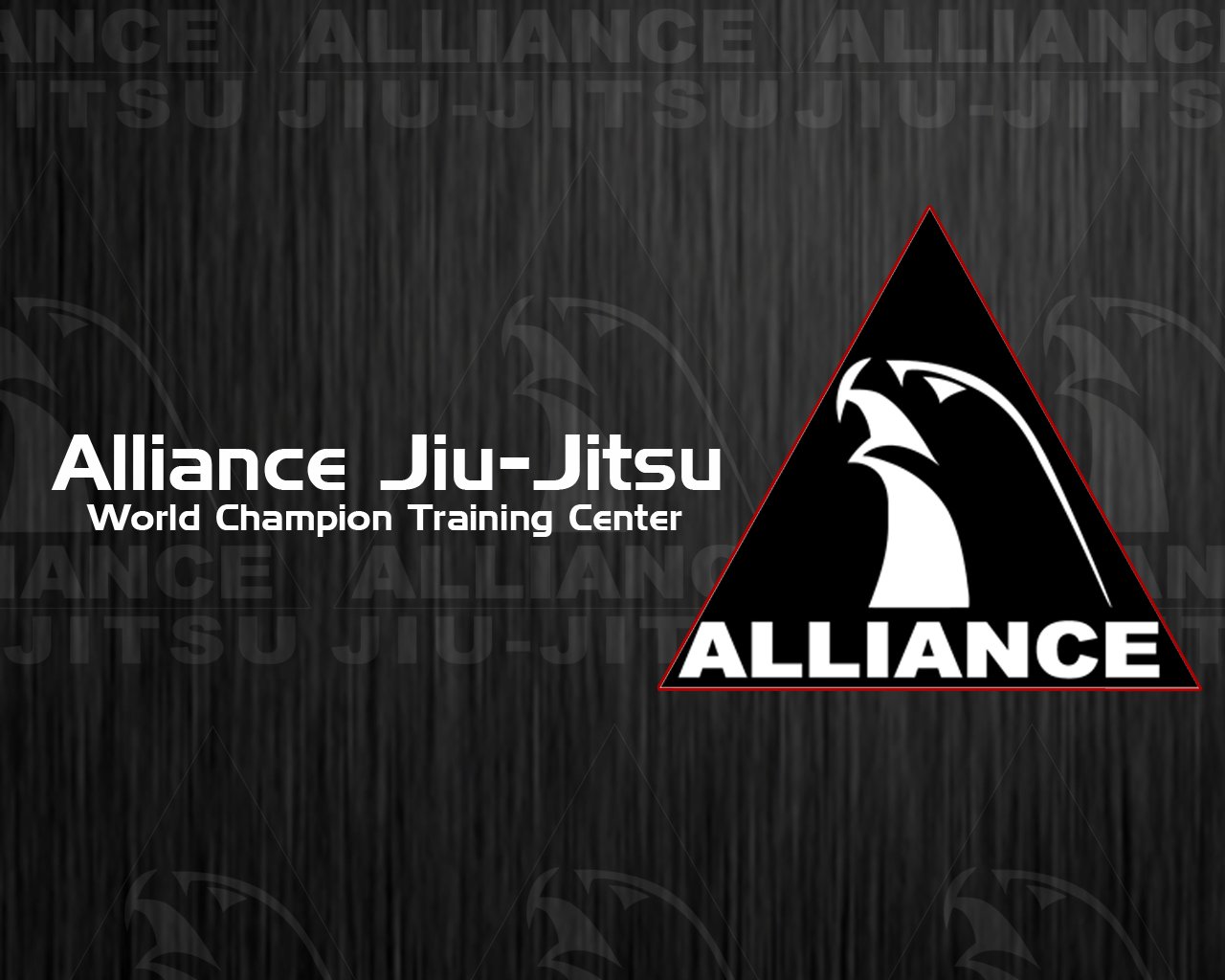 Jiu Jitsu Wallpaper Background 1280x1024