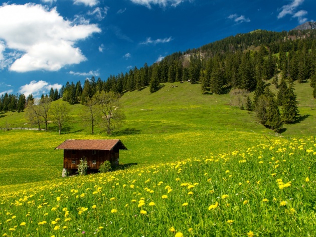 Wallpaper Pasture In The Bavarian Alps Germany Photos And
