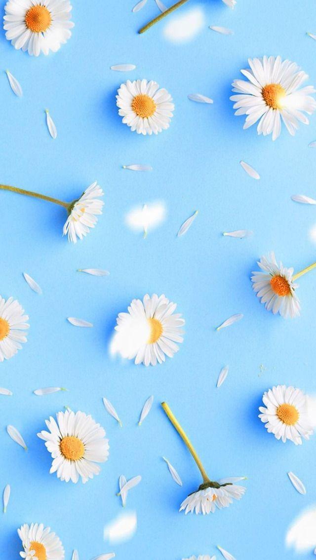 Cute Blue Floral iPhone Wallpaper
