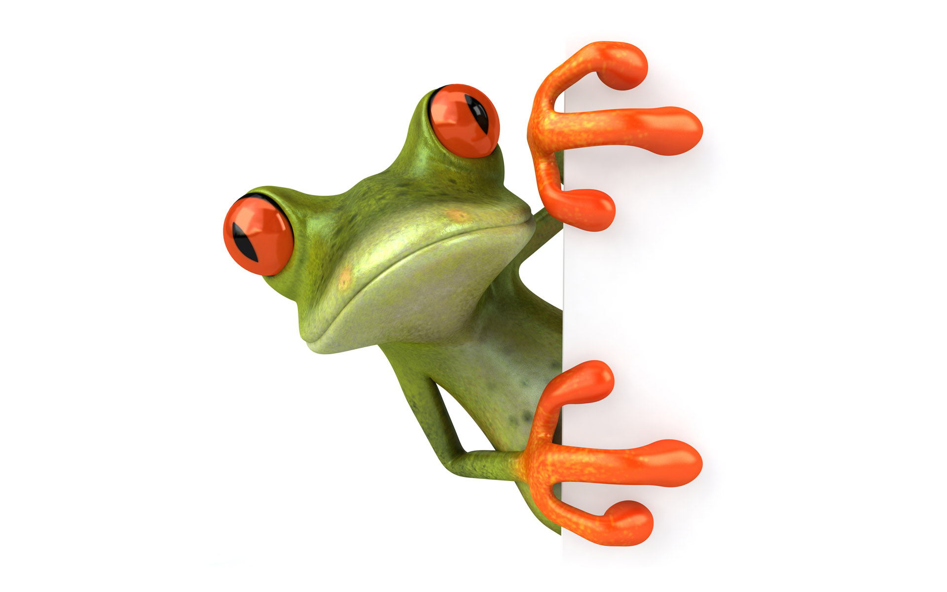 Pics Photos Cute Frog 3d Wallpaper Postcard