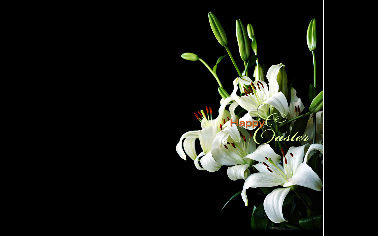 Holiday Wallpaper Easter Lily