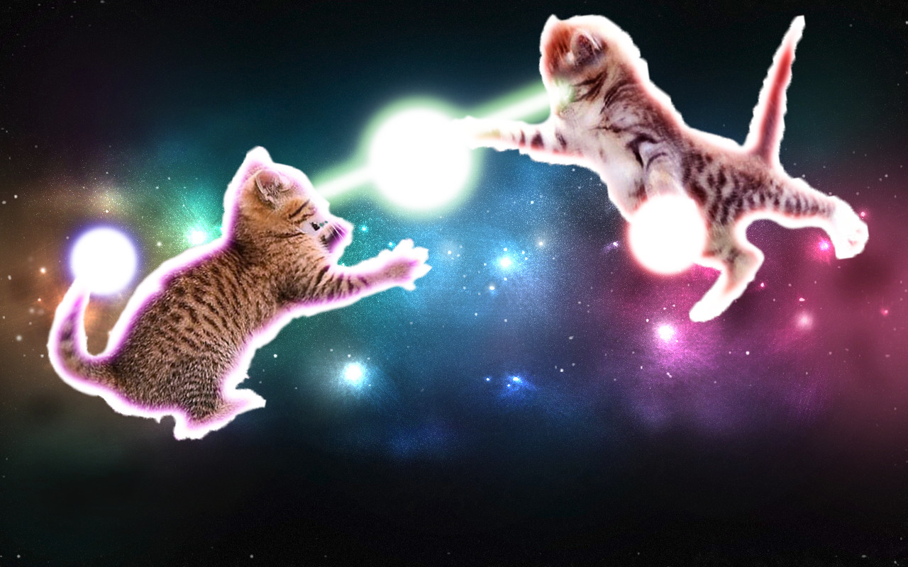 Epic Cat Battle