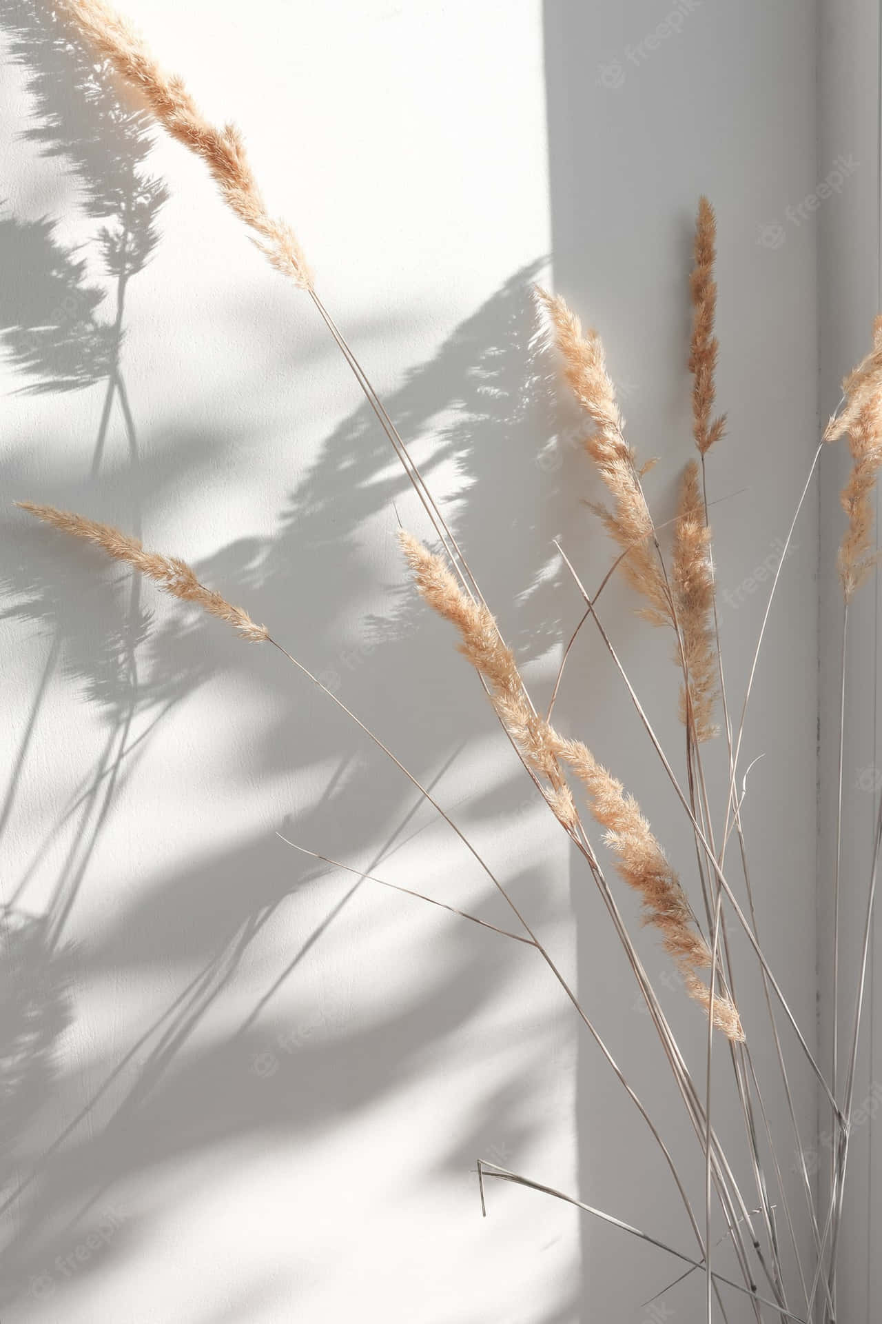 A Vase Of Dried Grass On White Wall Wallpaper