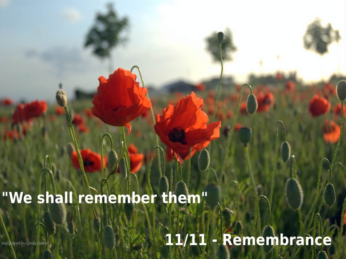 Remembrance Day Wallpaper By Lewiscawte