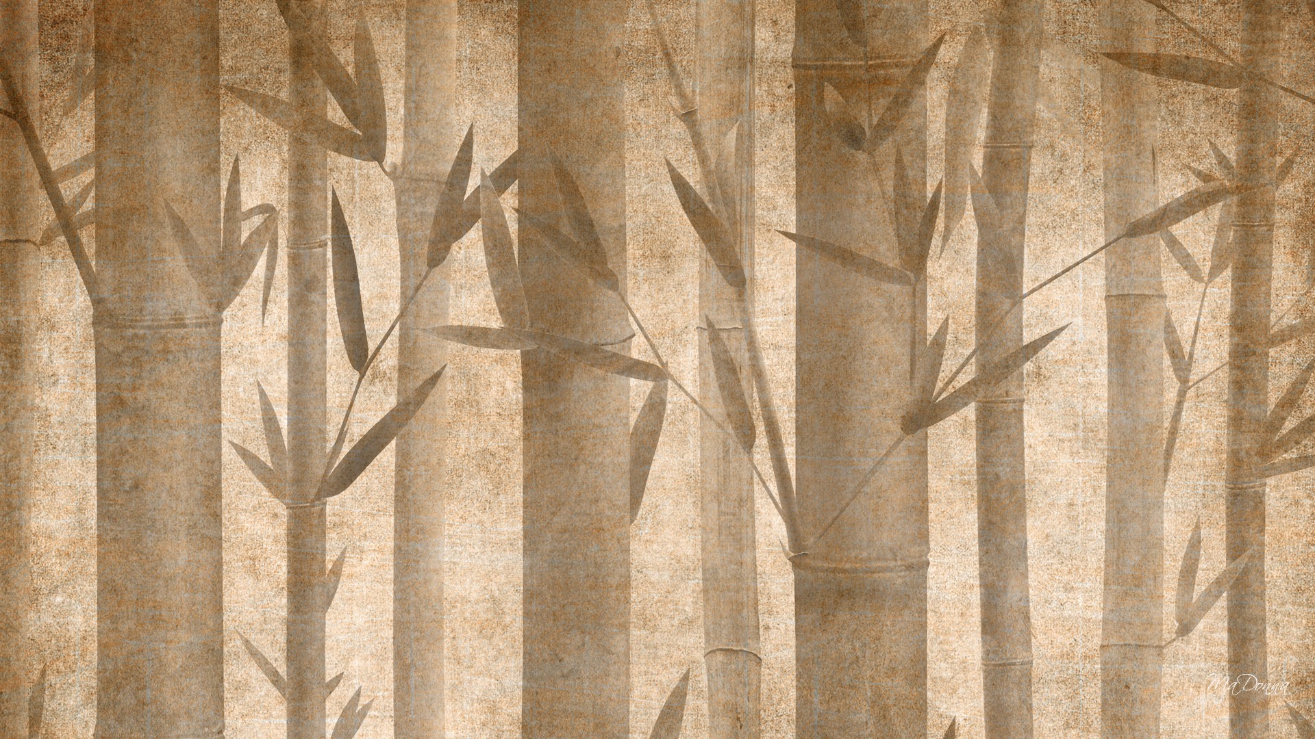 Bamboo Texture Wallpaper HD Background Screensavers