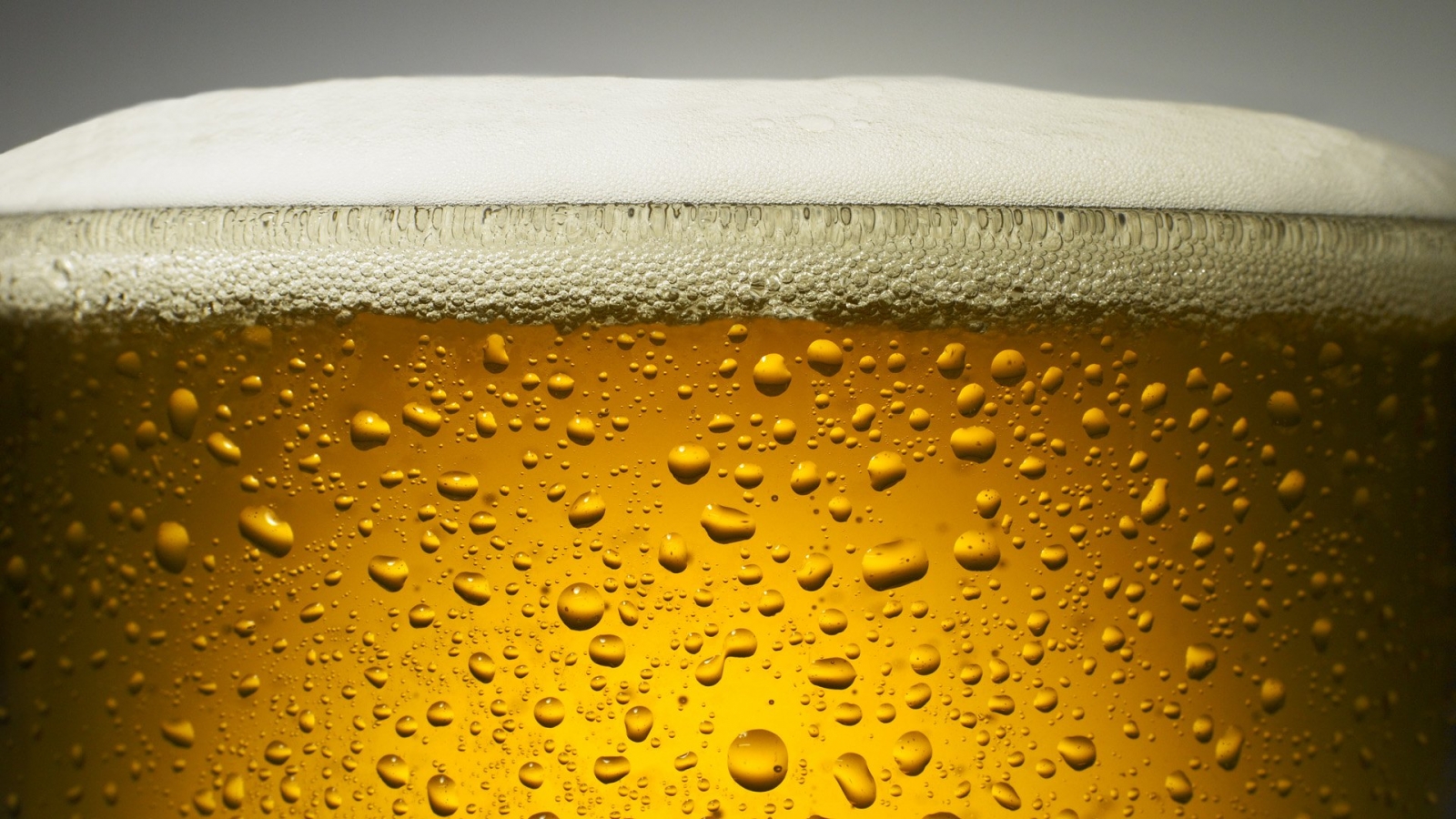Beer 1600x900 Wallpapers 1600x900 Wallpapers Pictures Free Download
