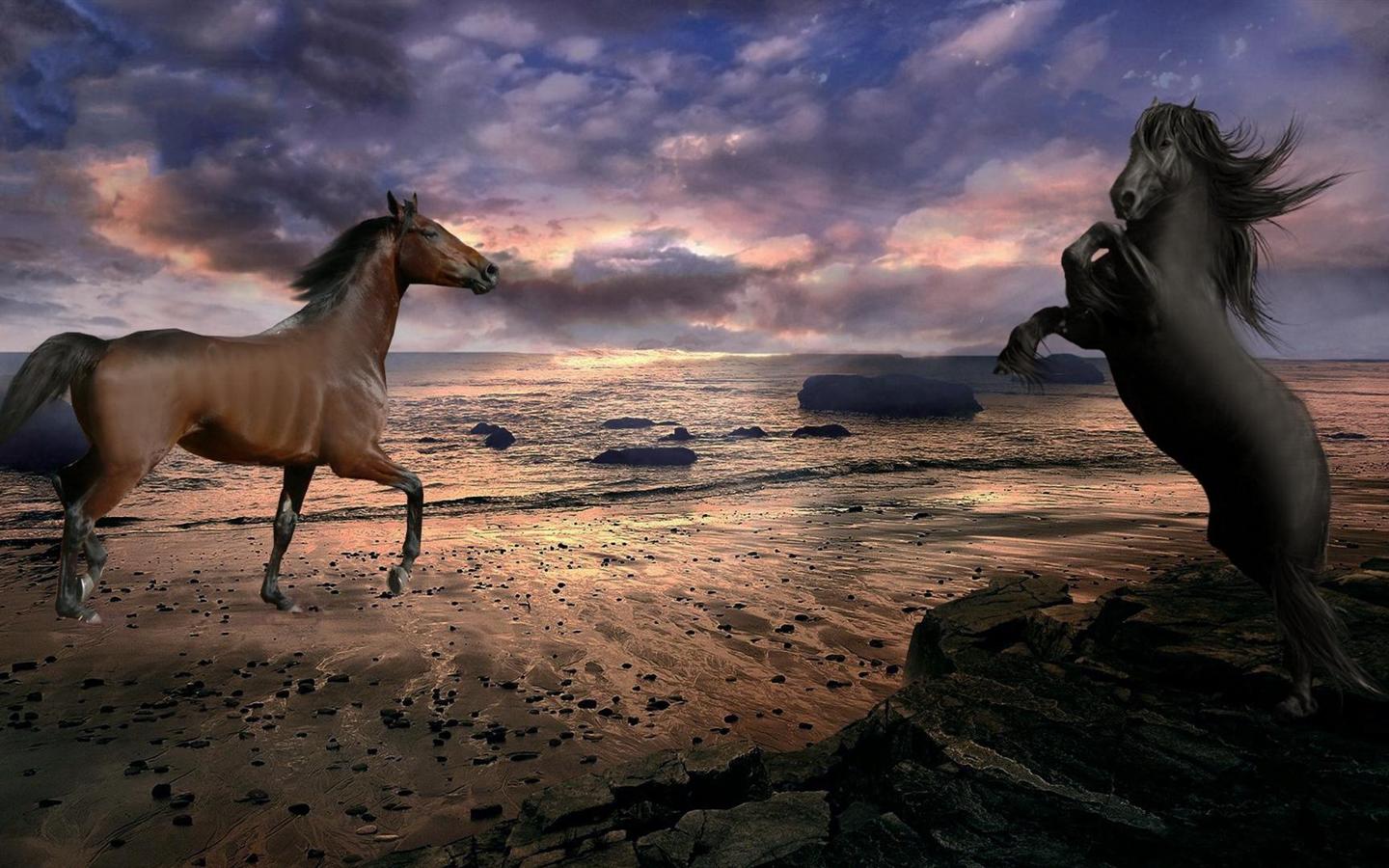HD Horse On Beach And Dark Clouds Desktop Wallpaper Wide