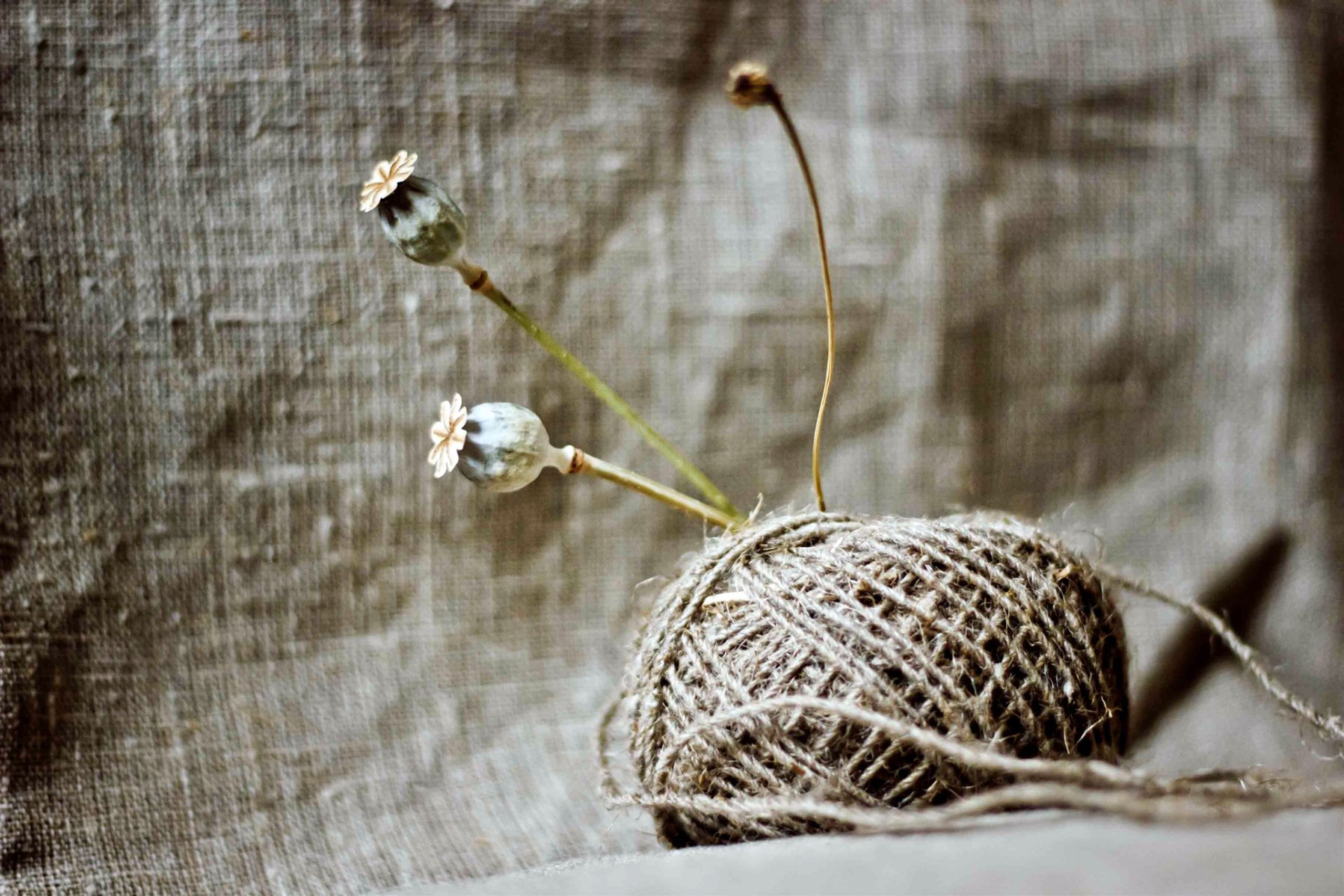 Serene Still Life Wallpaper