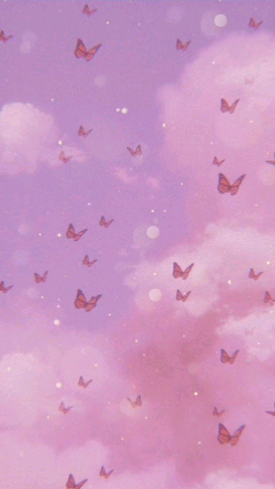 Cute pink butterfly backgrounds HD wallpapers  Pxfuel