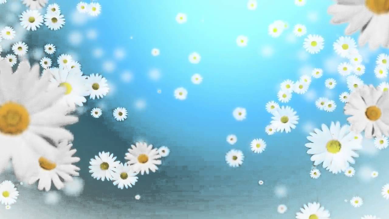 Footage Flowers Background