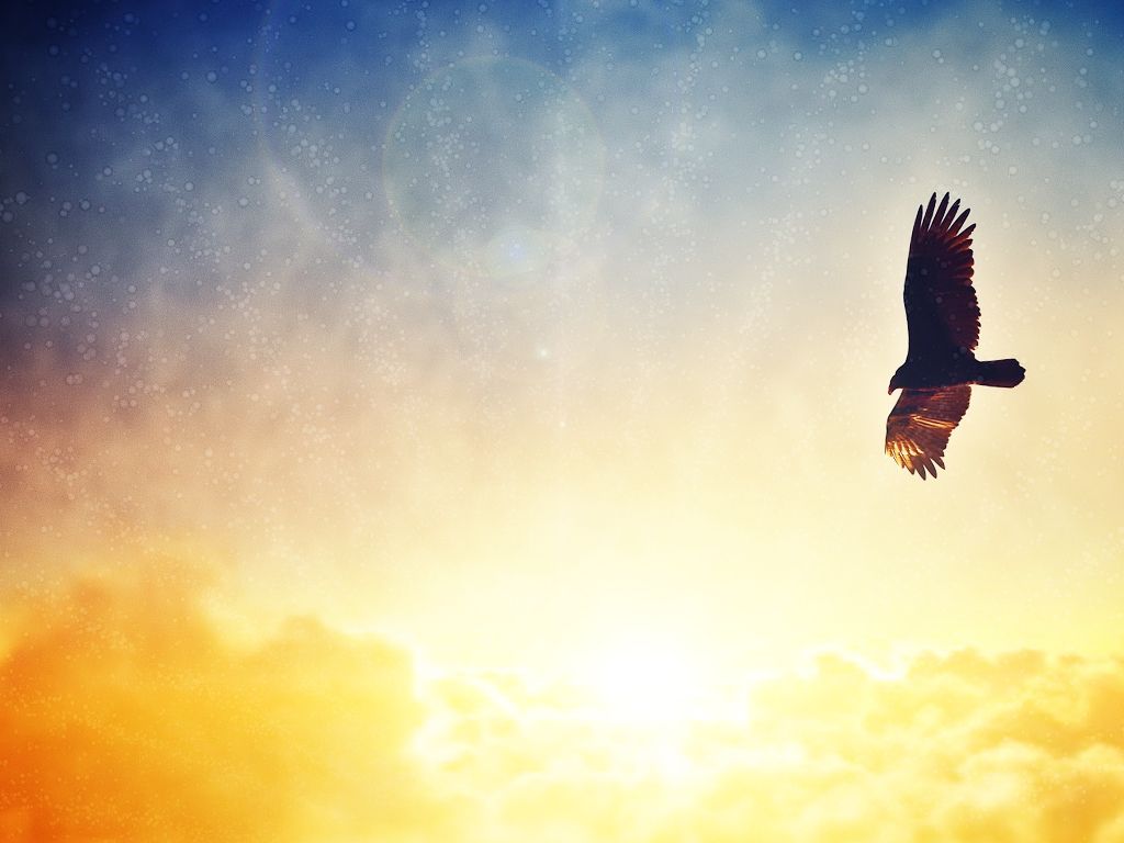 Strength Like An Eagle Background Graphic Design Education