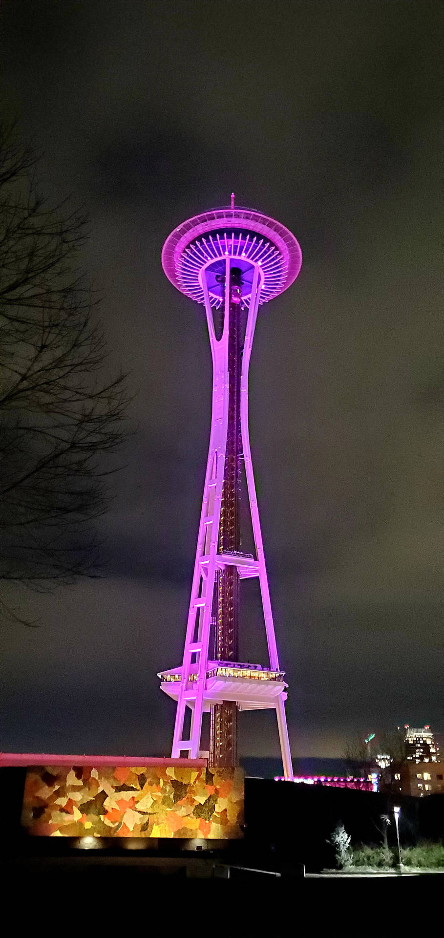 Top Space Needle Wallpaper Full HD 4k To Use