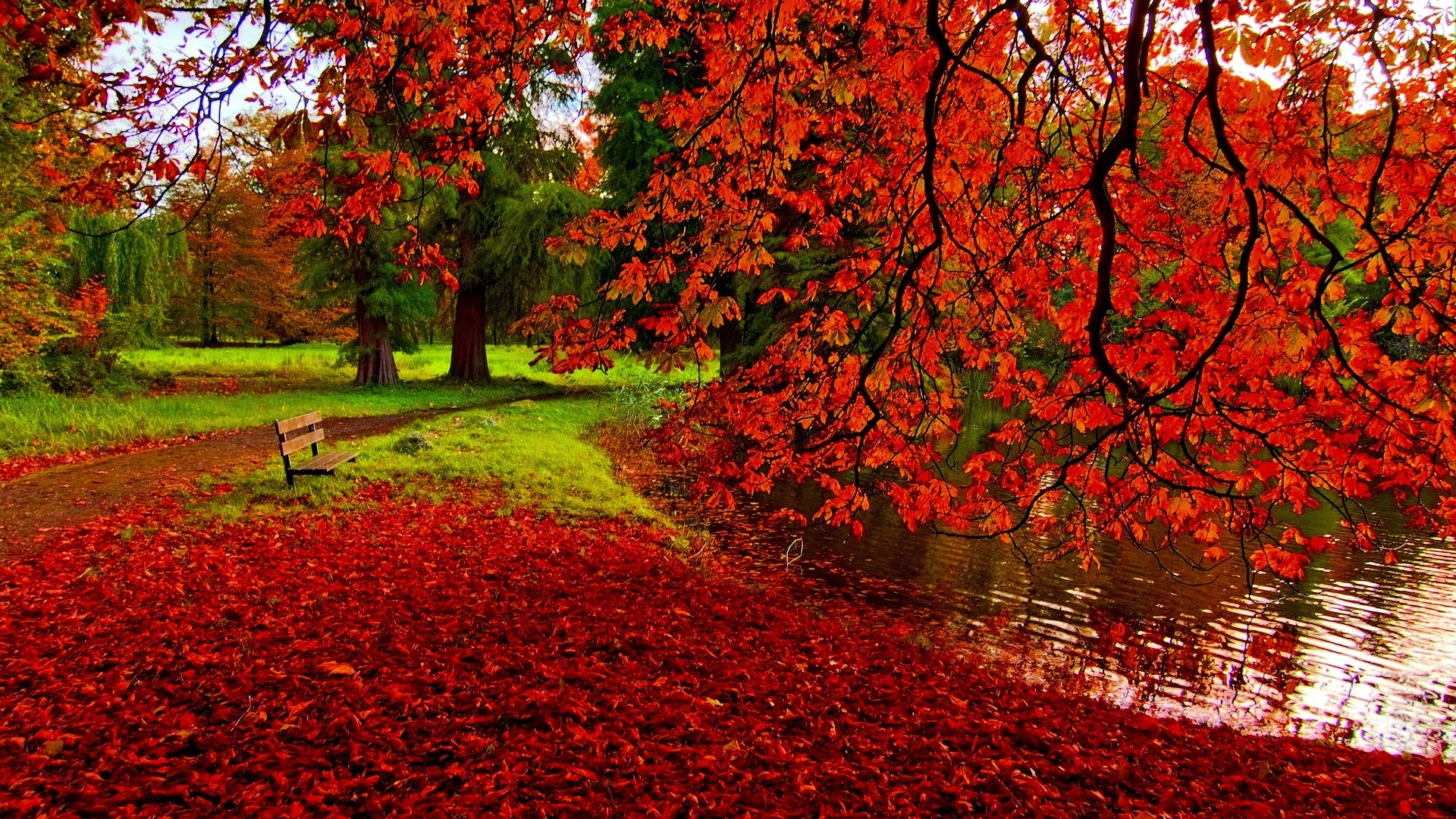 Vivid autumn scenery with a park bench by a pond, surrounded by vibrant red foliage