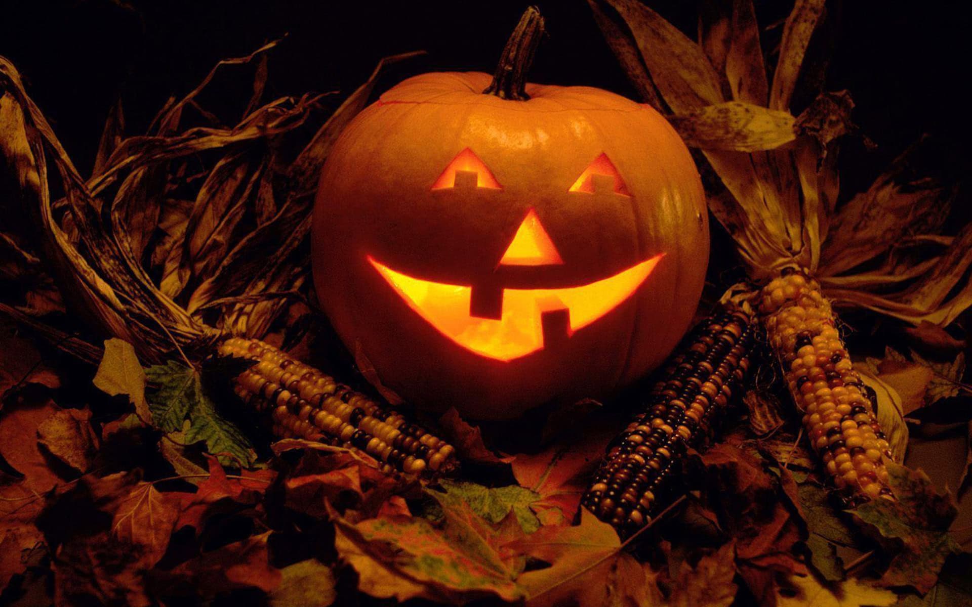 Pretty Halloween Wallpaper For Windows