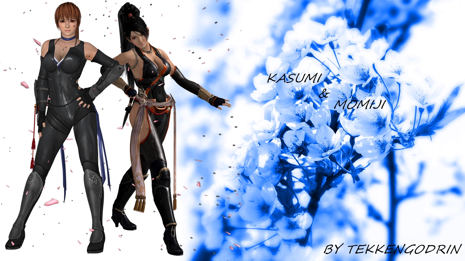 Dead Or Alive Kasumi And Momiji Wallpaper By Tekkengodrin On