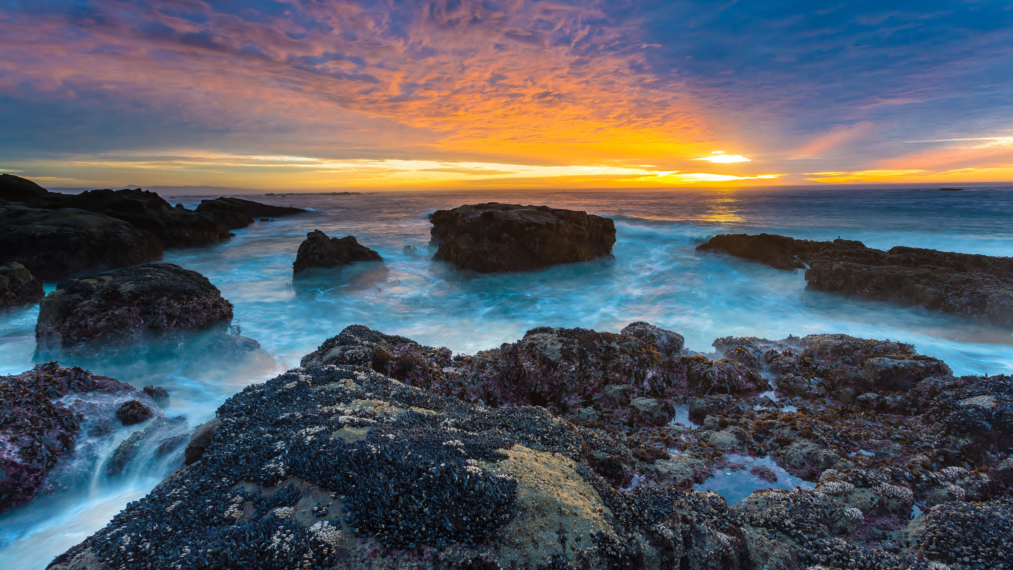 Ultra HD Widescreen Wallpaper
