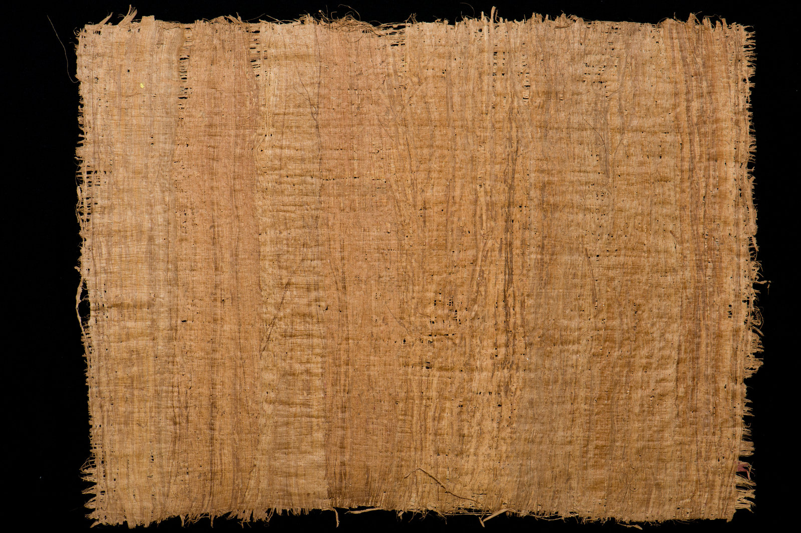 Papyrus By Henrikholmberg