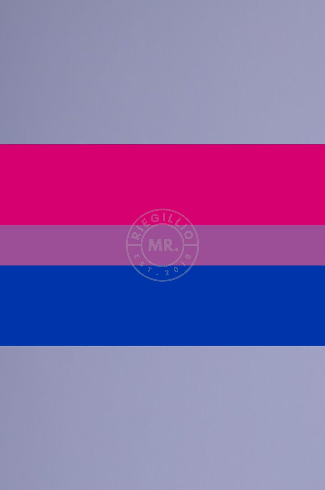 Bisexual Flag 90cm X 150cm At Mr Riegillio