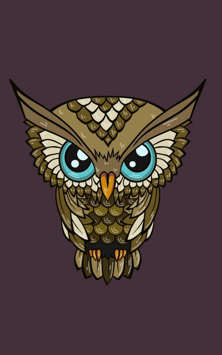 Wallpaper Owl Minimalism Art Cute Owls