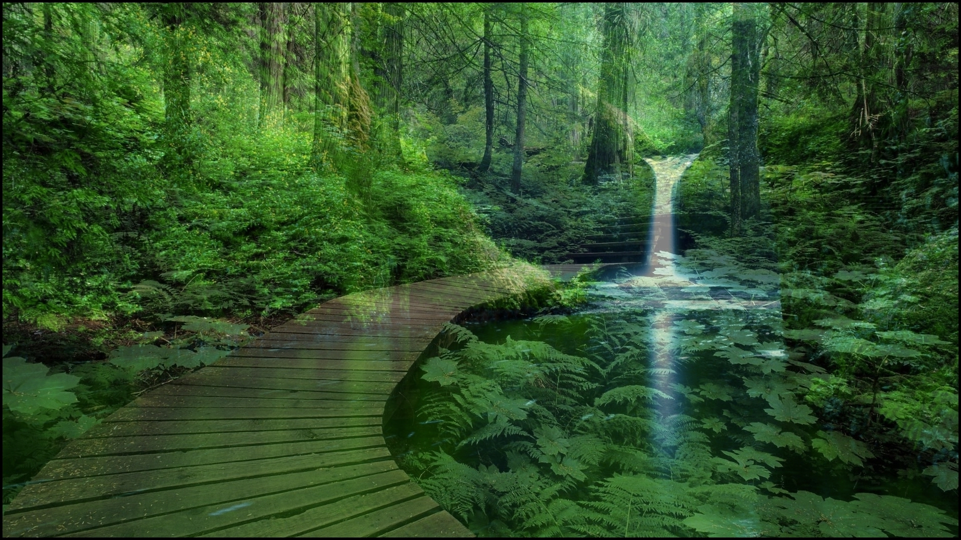 Desktop Laptop Wallpaper