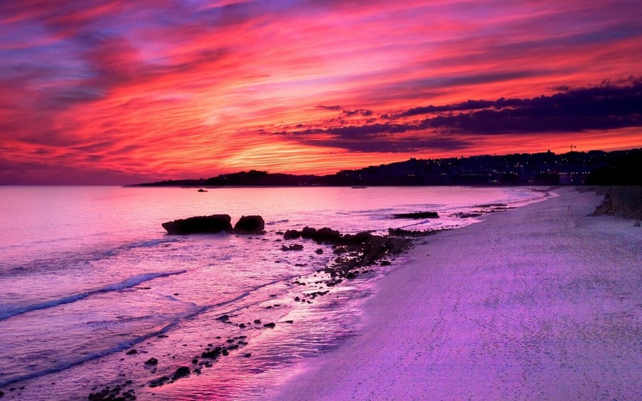 Pink Beach Wallpaper