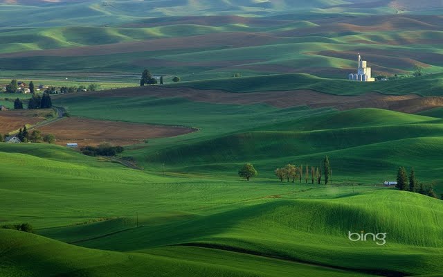 The Best Of Bing Fields And Grasslands Desktop