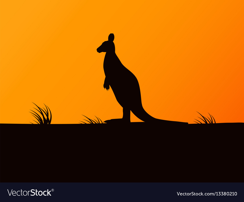 Silhouette Kangaroo On Background Sunset Vector Image