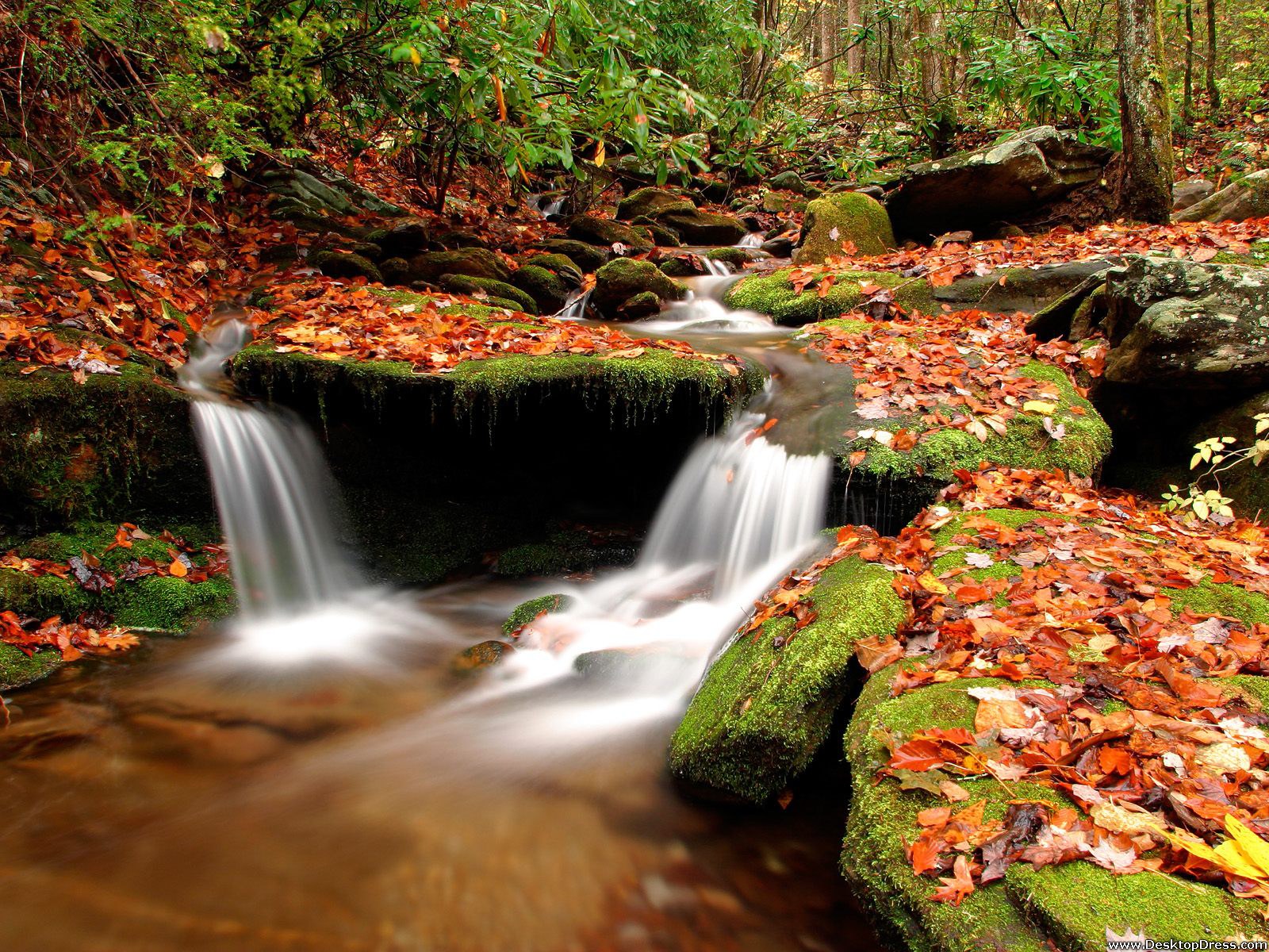 Wesser Creek in Autumn Nantahala National Forest North Carolina