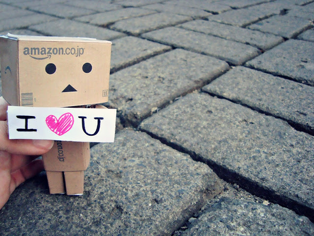 First I Used Danbo For My Wallpaper Picswallpaper