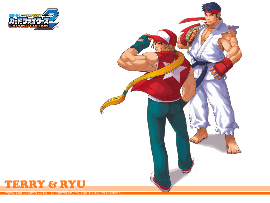 Snk Wallpaper Vs Card Fighters Terry Ryu