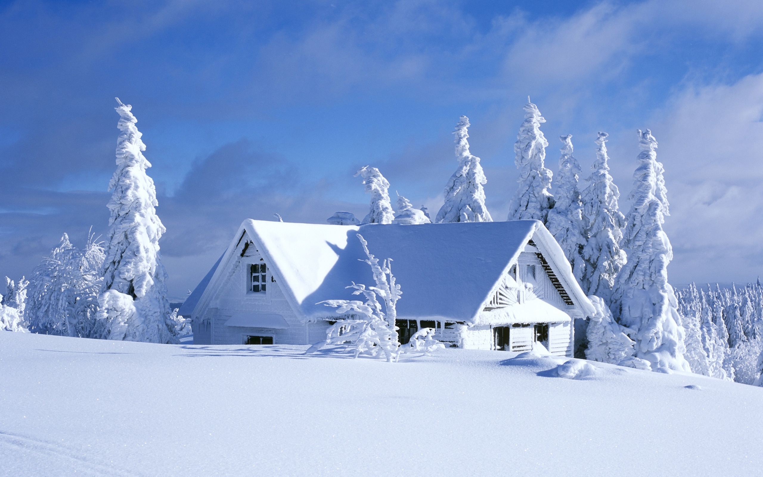 House Covered In Snow desktop wallpaper