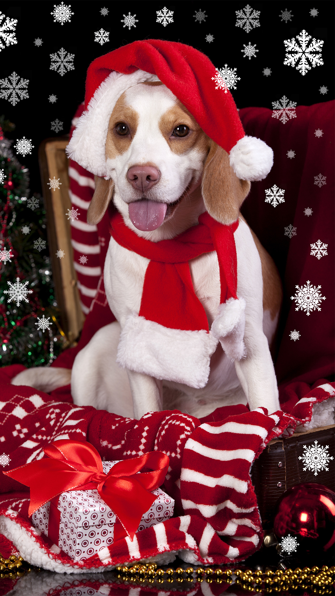 Christmas Dog with Santa Hat iPhone 6S Plus Wallpaper Gallery