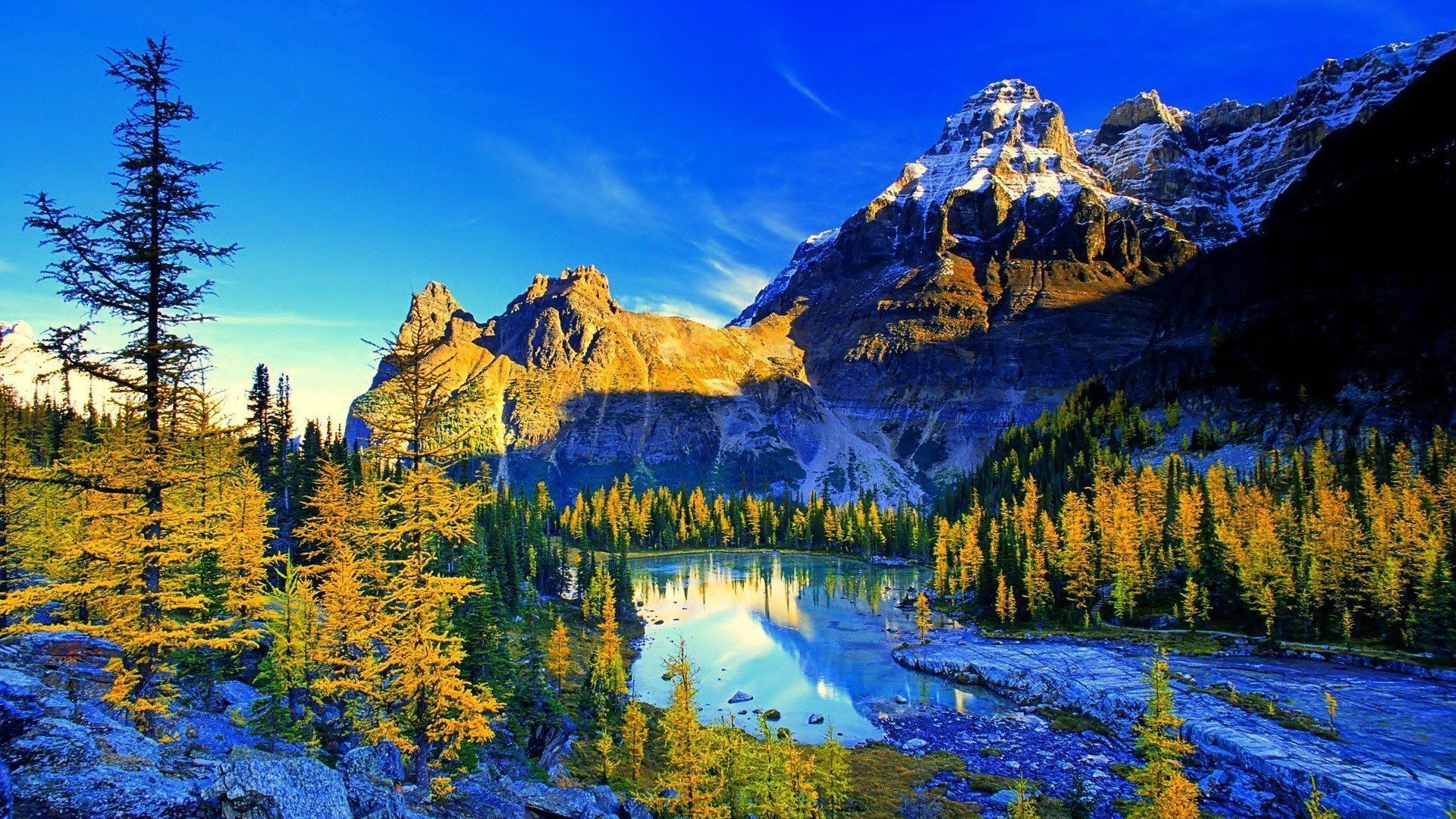 Stunning 4K wallpaper of a pristine alpine lake nestled amidst snow-capped mountains and golden larch trees