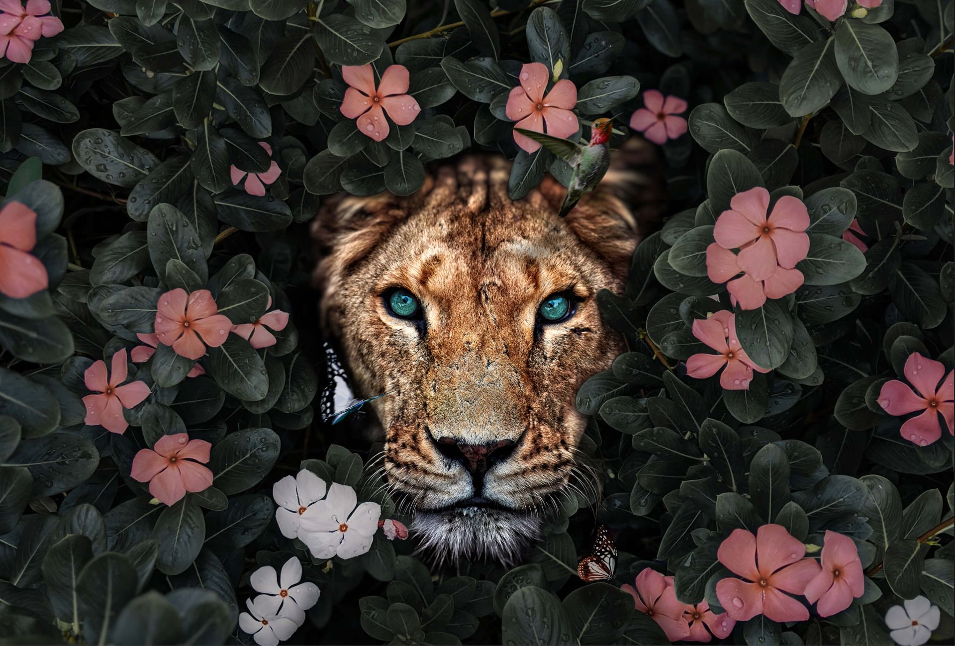 Jungle Lioness Wallpaper