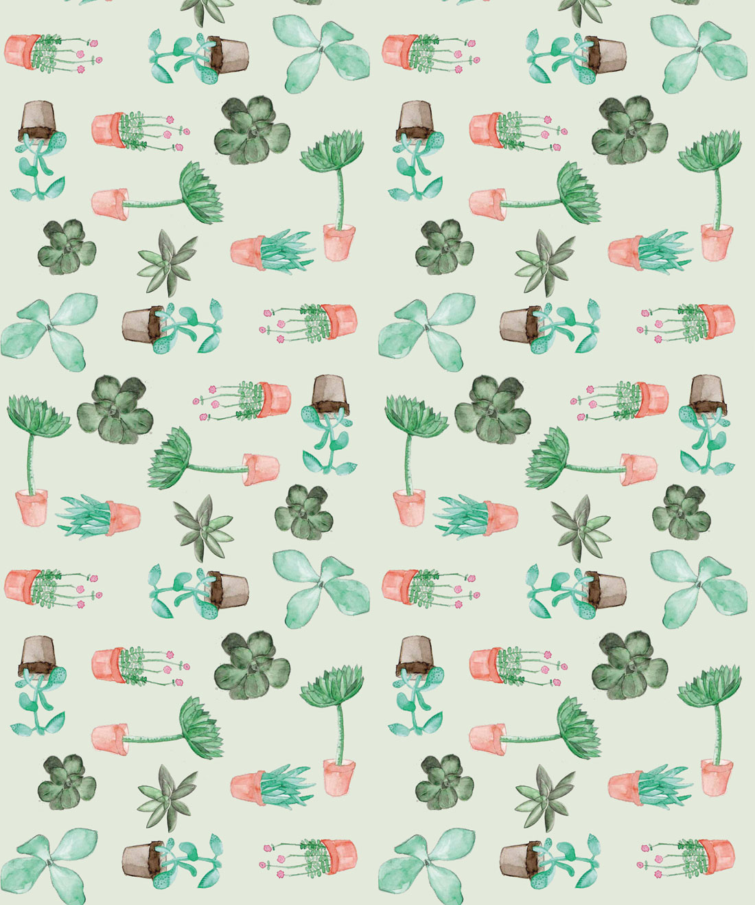 Succulents Cactus Botanical Wallpaper Milton King