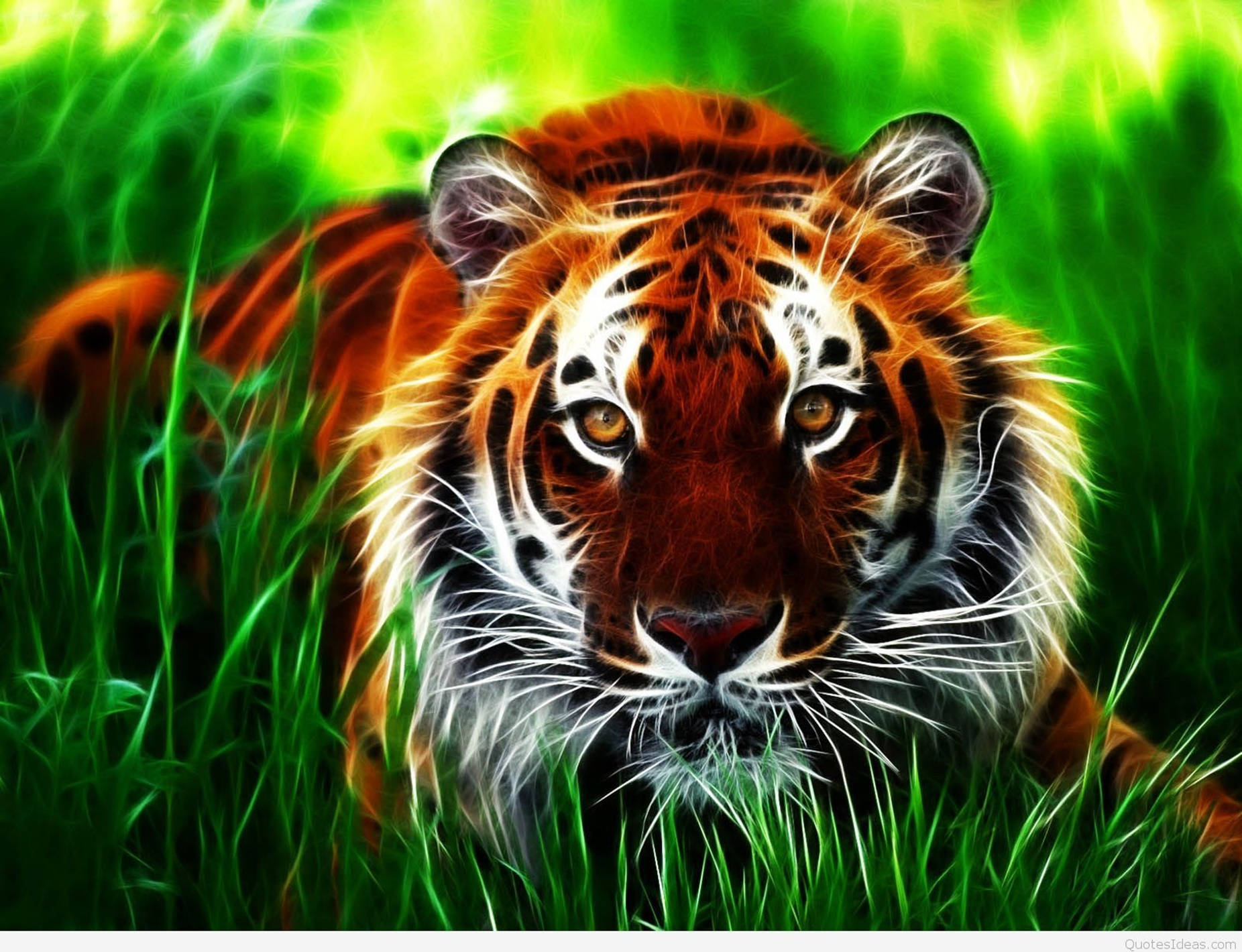 3d Animation Wallpaper