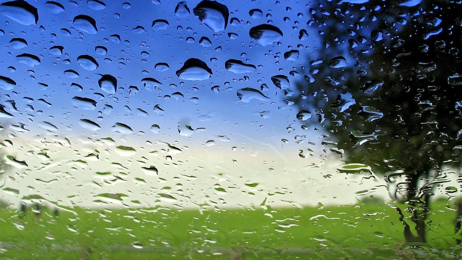 Drops Rain Nature Landscapes Window Glass Trees Spring Seasons Sky