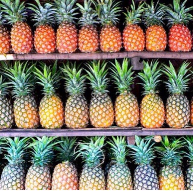 Pineapples Iphone Wallpaper Pinterest