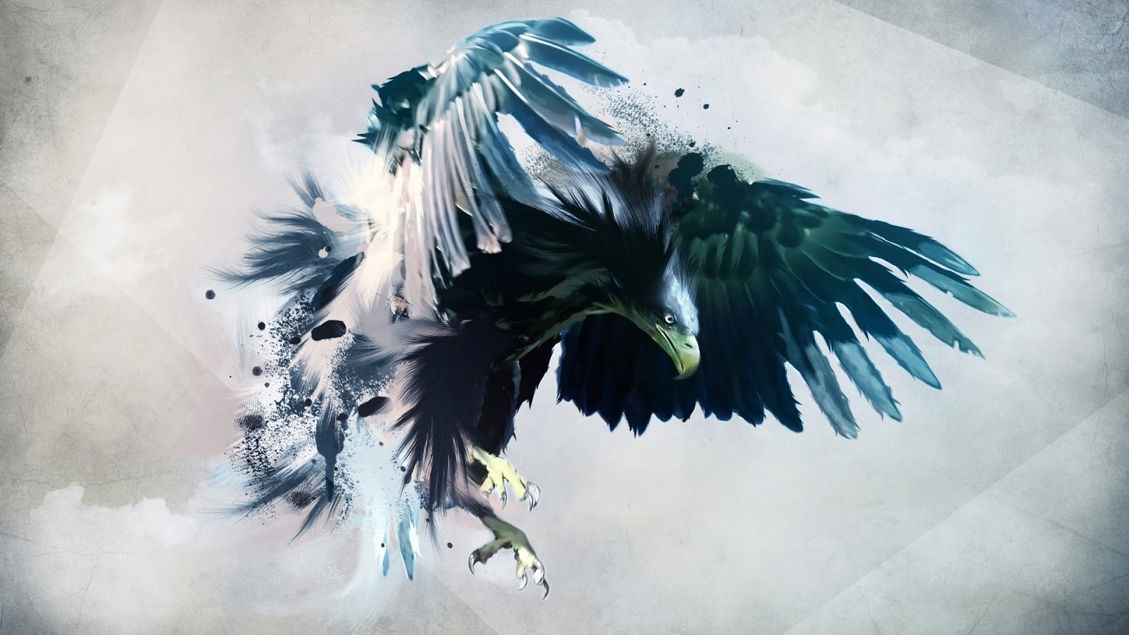 Bird Of Prey Full HD Desktop Wallpaper 1080p
