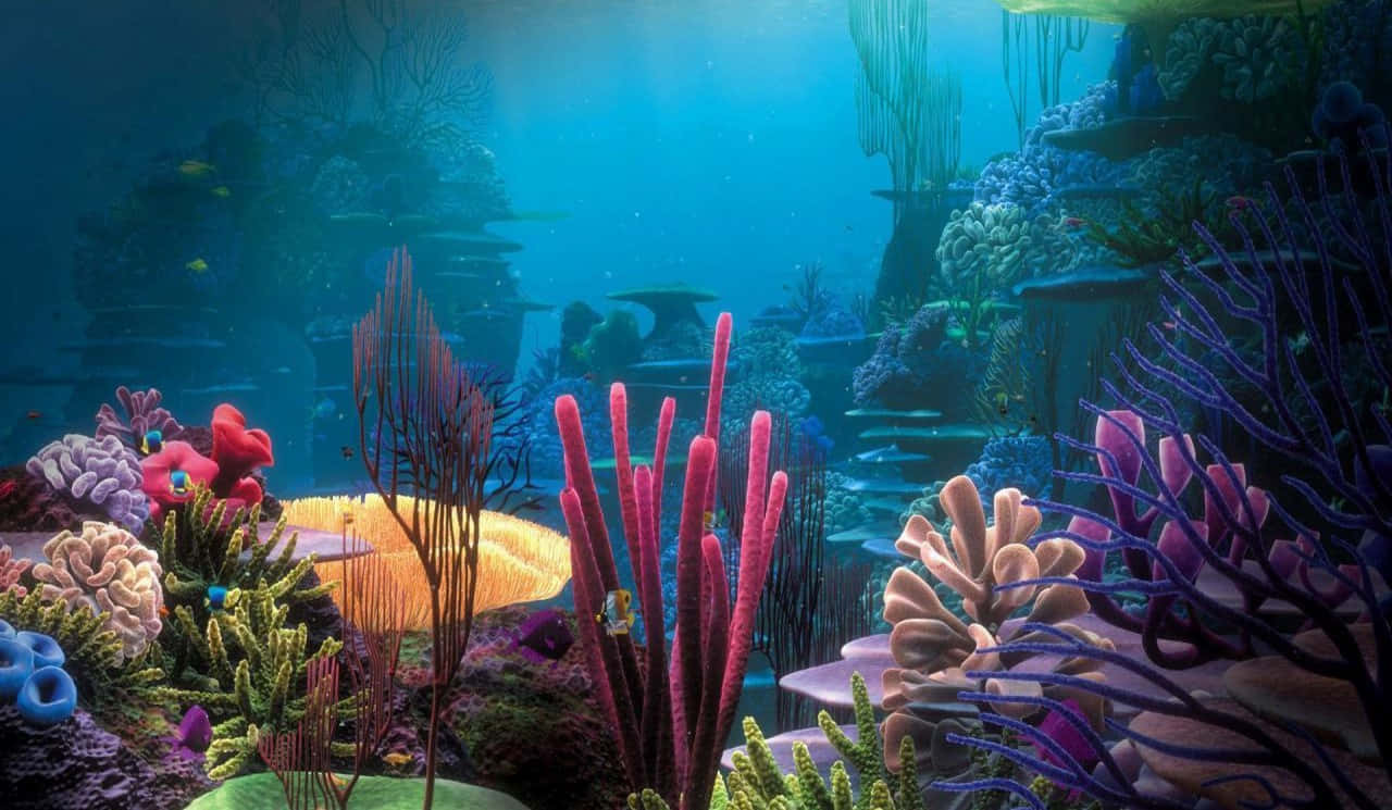 Aquarium Fish Tank Wallpaper