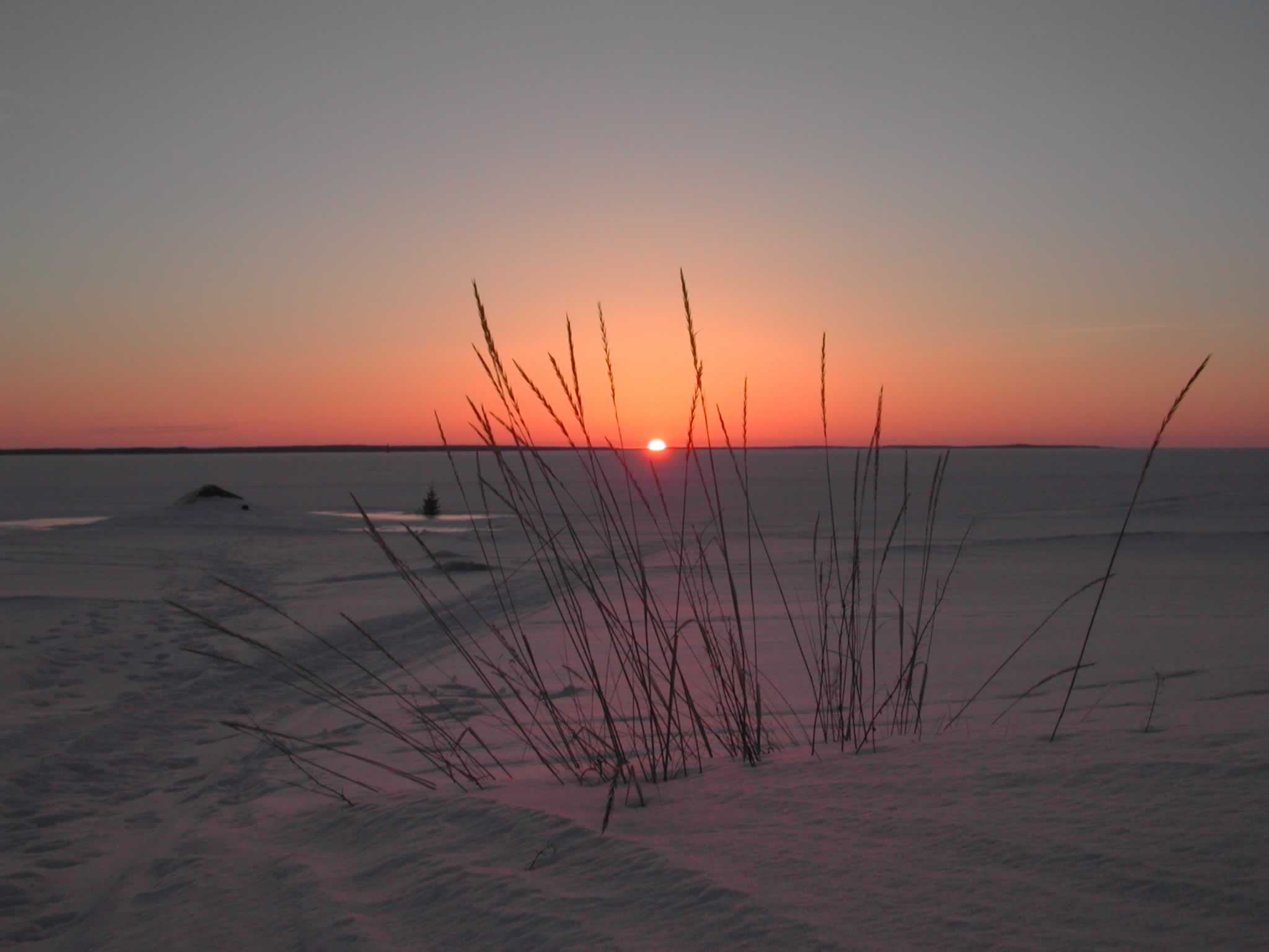 Sunset On Arctic Tundra Sunrises And Sunsets Wallpaper