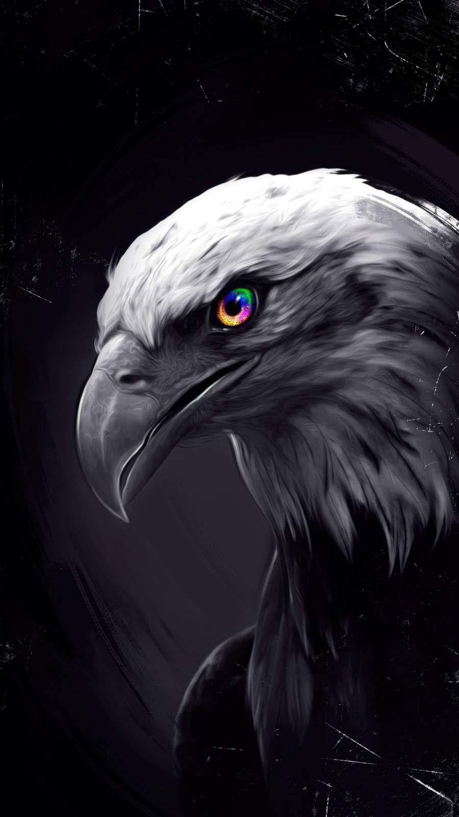 Eagle Eyes iPhone Wallpaper Wild Animal