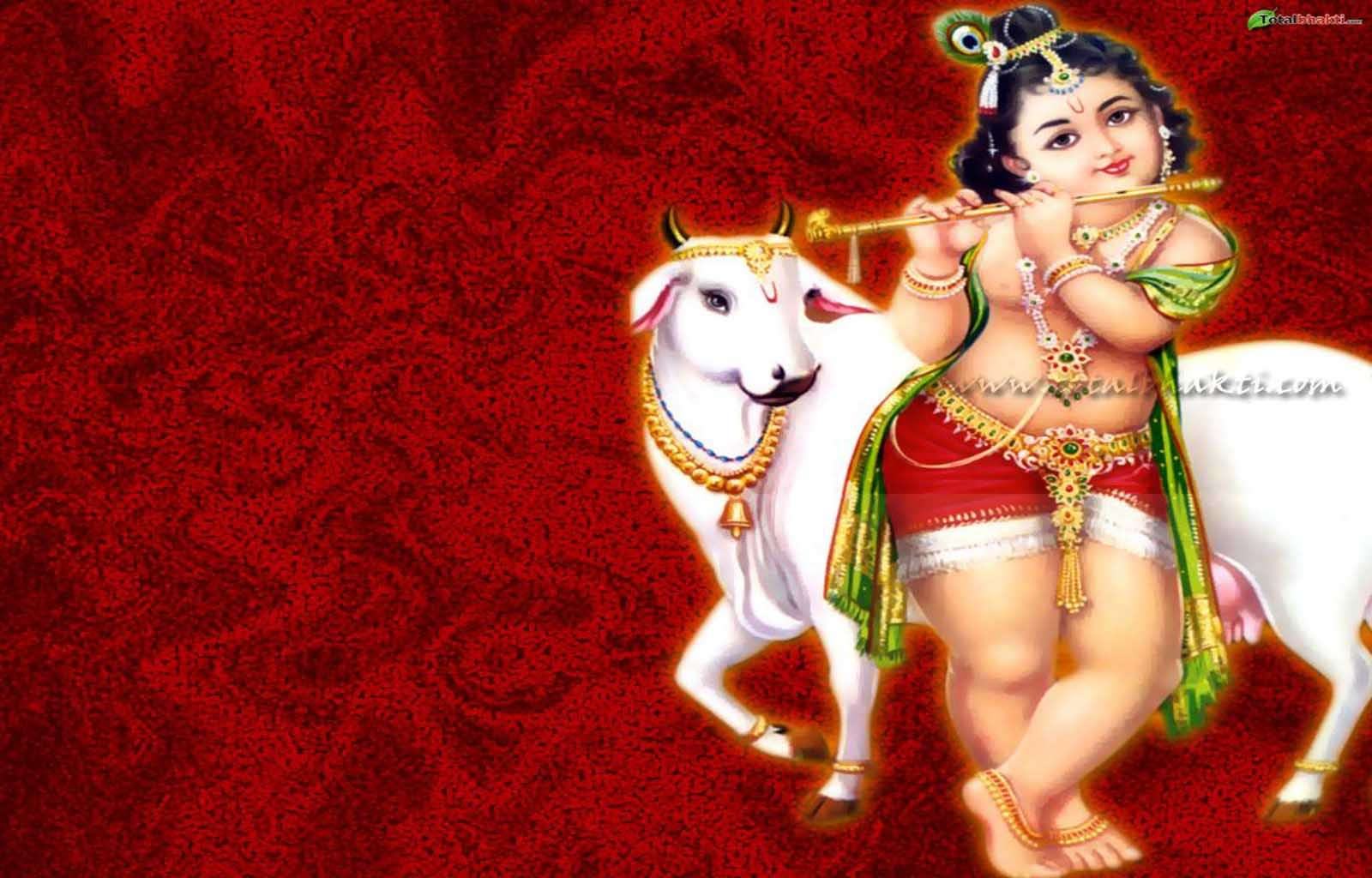 Wallpaper Background Lord Krishna God